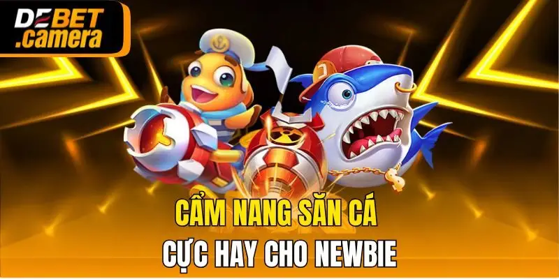 Cẩm nang săn cá cực hay cho newbie