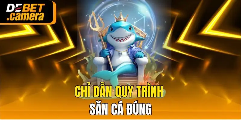 Chỉ dẫn quy trình săn cá đúng