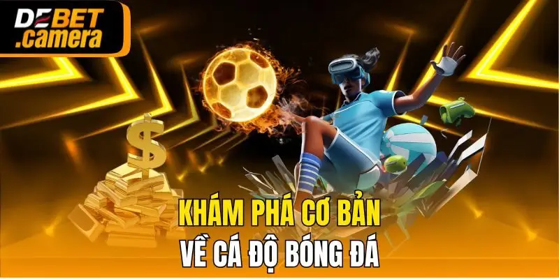 Khám phá cơ bản về cá độ bóng đá