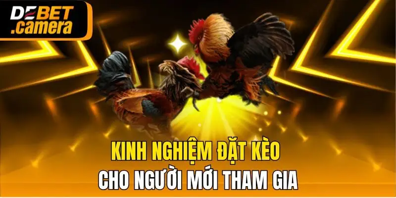 Kinh nghiệm đặt kèo cho người mới tham gia